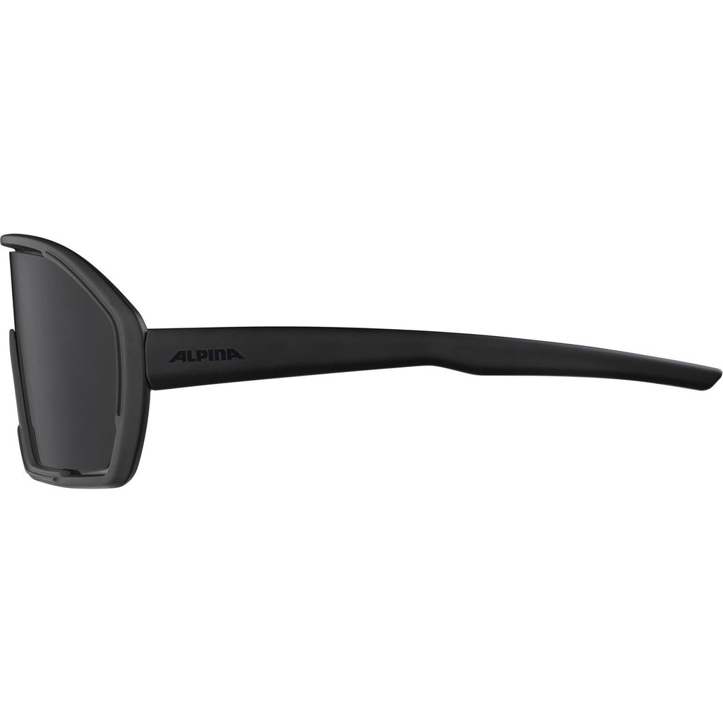 Alpina bonfire - sports glasses