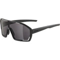 Alpina bonfire - sports glasses