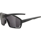 Alpina bonfire - sports glasses