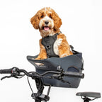Kvisp hondenfietsmand met harnas m midnight gray