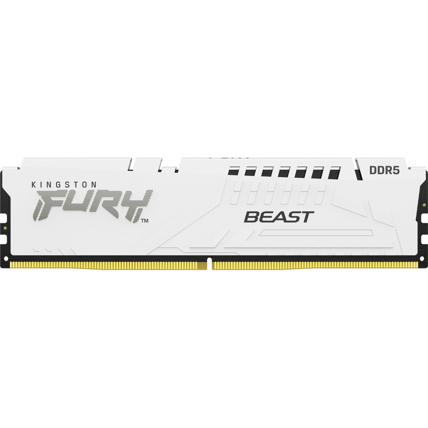 Kingston FURY Kingston FURY 16 GB DDR5-5600