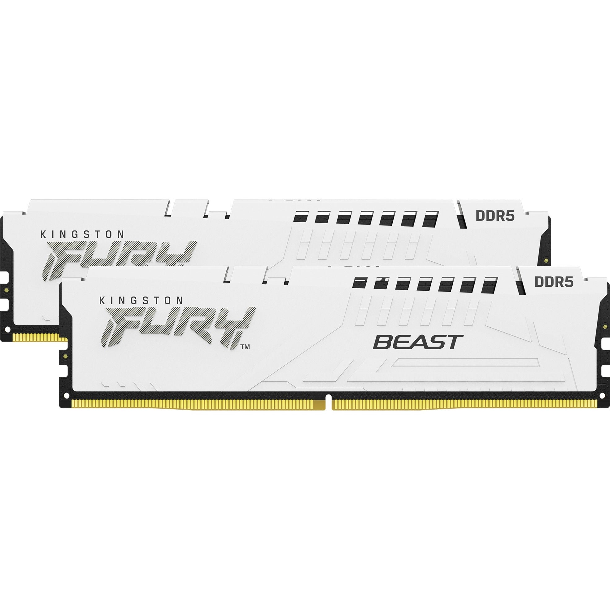 Kingston FURY Kingston FURY 64 GB DDR5-5200 Kit