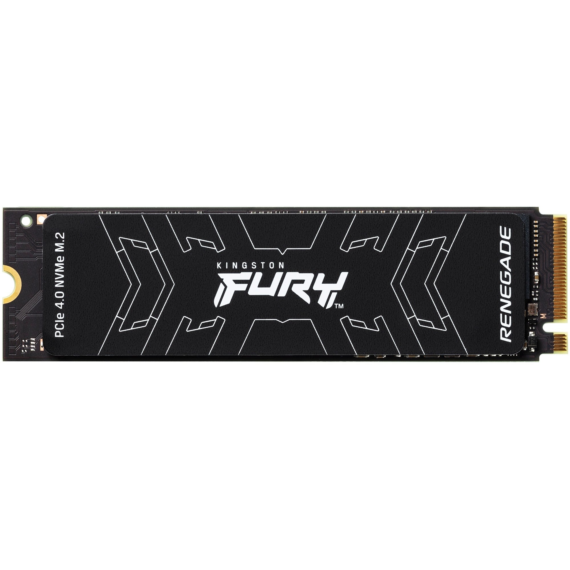 Kingston FURY Kingston FURY Renegade 500 GB