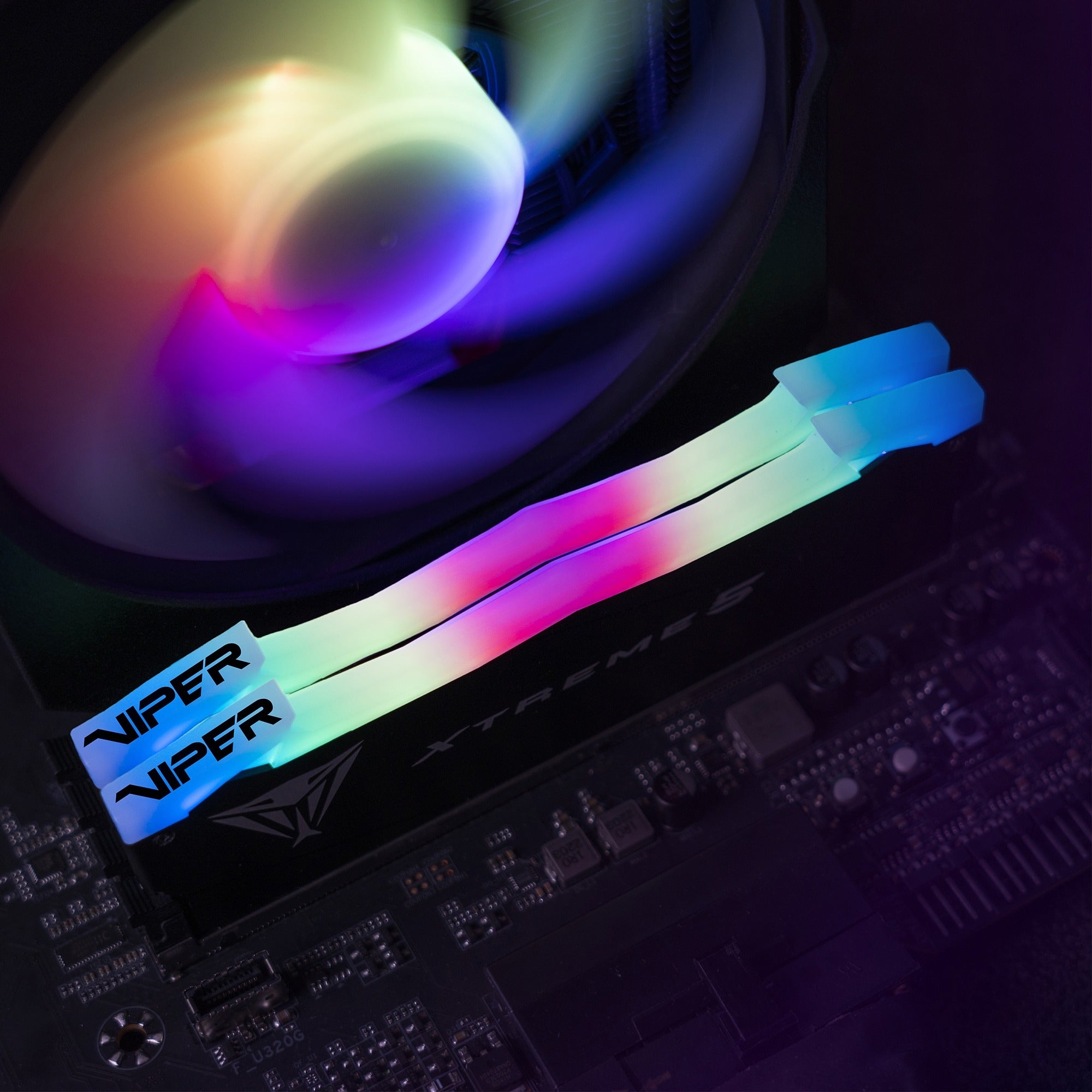 Patriot Patriot 32 GB DDR5-8000 Kit