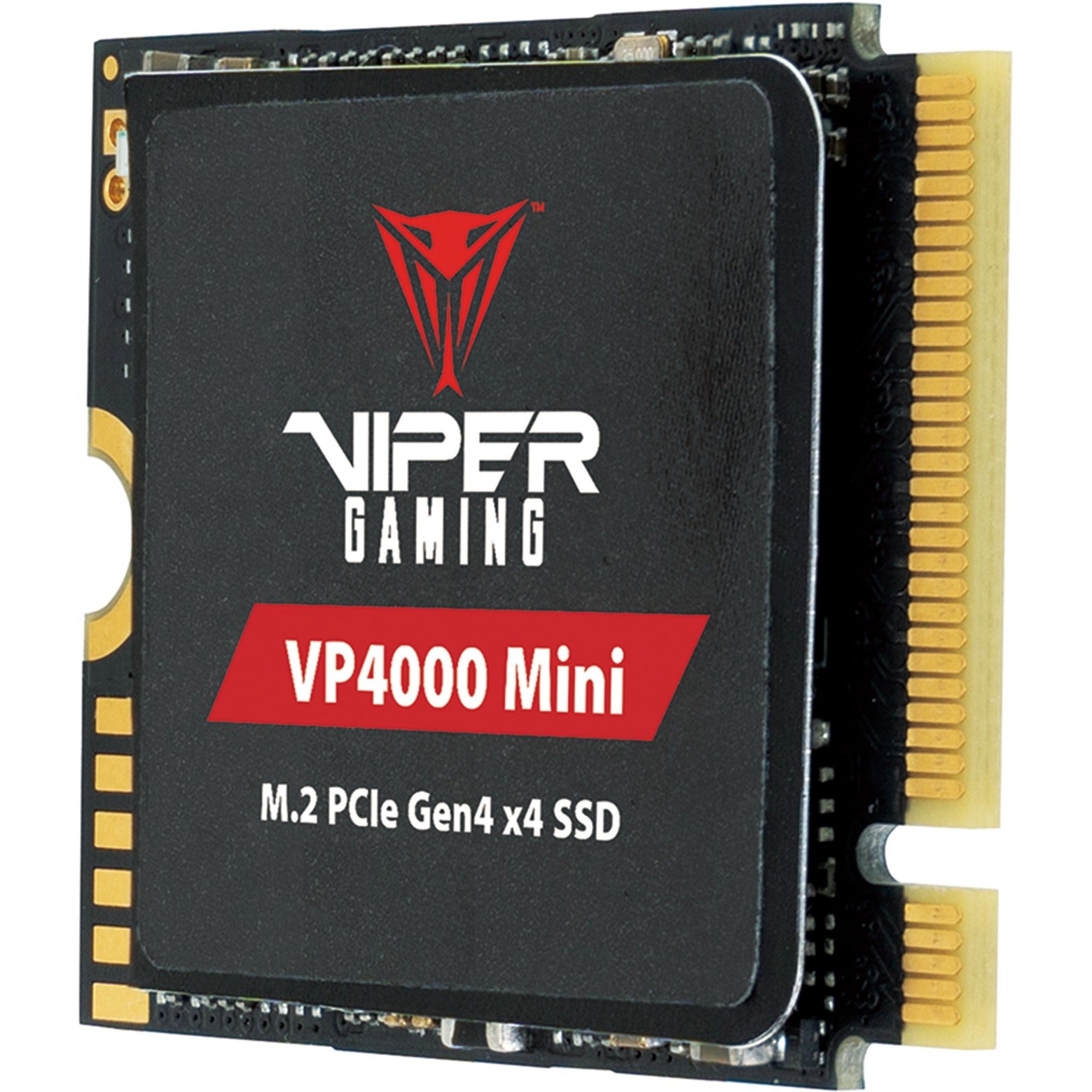 Patriot Patriot VP4000 Mini 1 TB