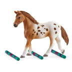 Schleich Horse Club Lisa’s toernooitraining