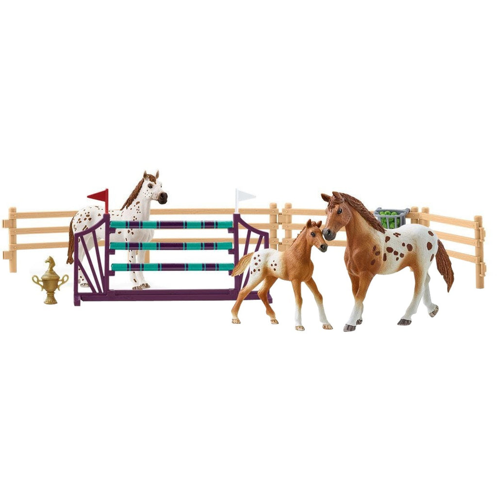 Schleich Horse Club Lisa’s toernooitraining