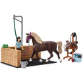 Schleich horse club paardenwasbox met emily en luna van hor 42438