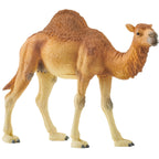 Schleich WILD LIFE Dromedaris 14832
