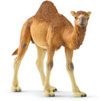 Schleich WILD LIFE Dromedaris 14832