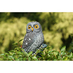 Ubbink kleine uil waterornament
