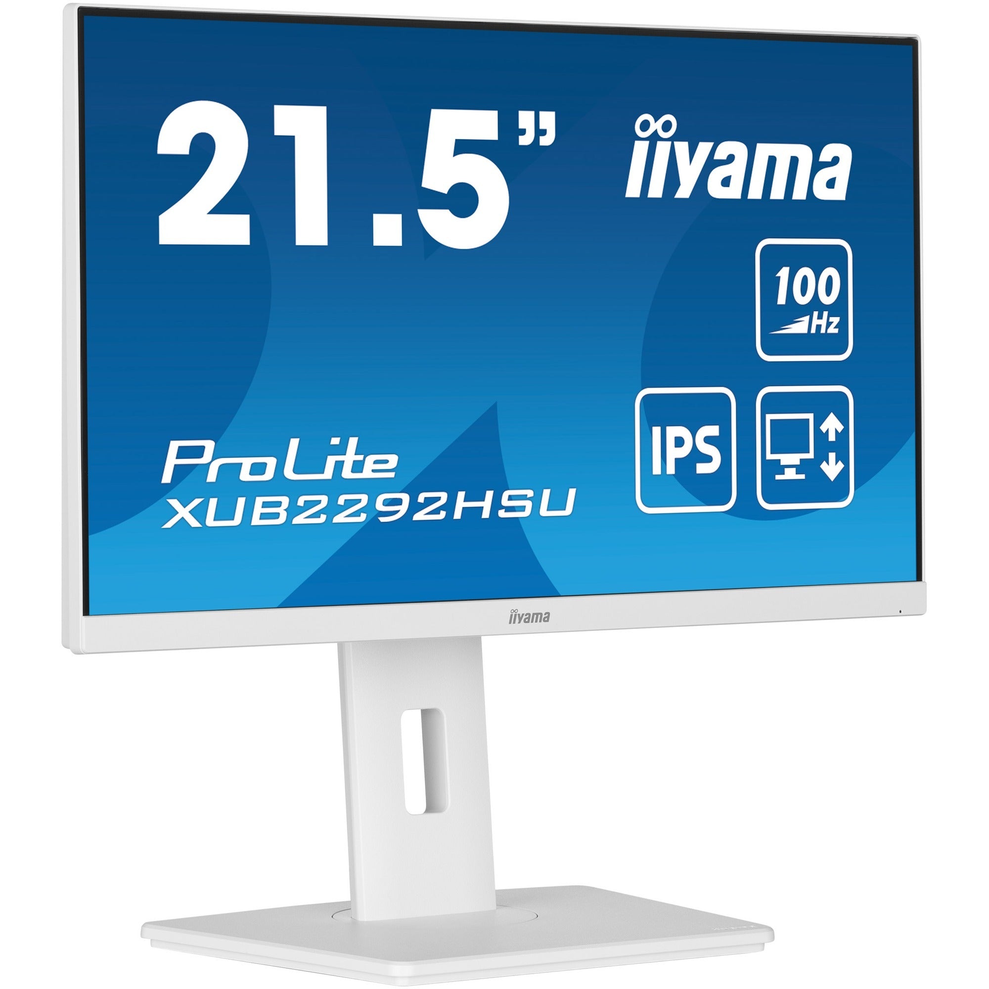 Iiyama Iiyama ProLite XUB2292HSU-W6