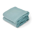 Nuuroo Nuuroo Bao muslin cloth 2-pack solid