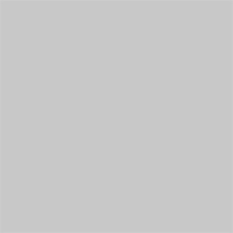 superior achtergrondpapier 42 morning mist 1,35 x 11m