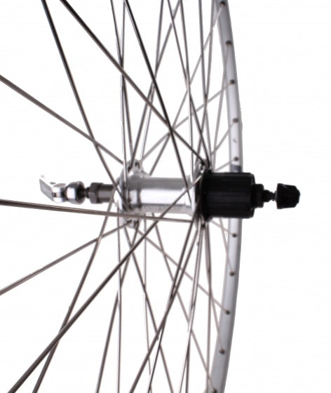 achterwiel Ryde Chrina 28 inch 7V 36G velgrem zilver