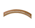 FE1201A CST Palmbay 50-622 bruin