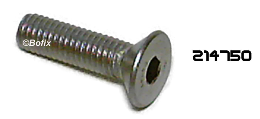 REMSCHIJFBOUT RVS VERZONKEN M8x30 (P.10)