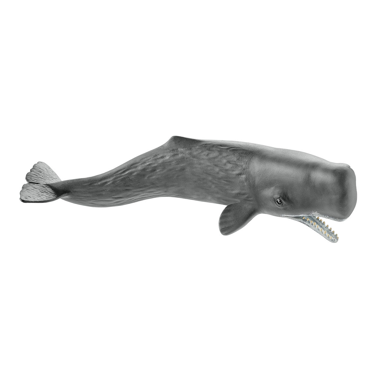 Schleich WILD LIFE Potvis 14764