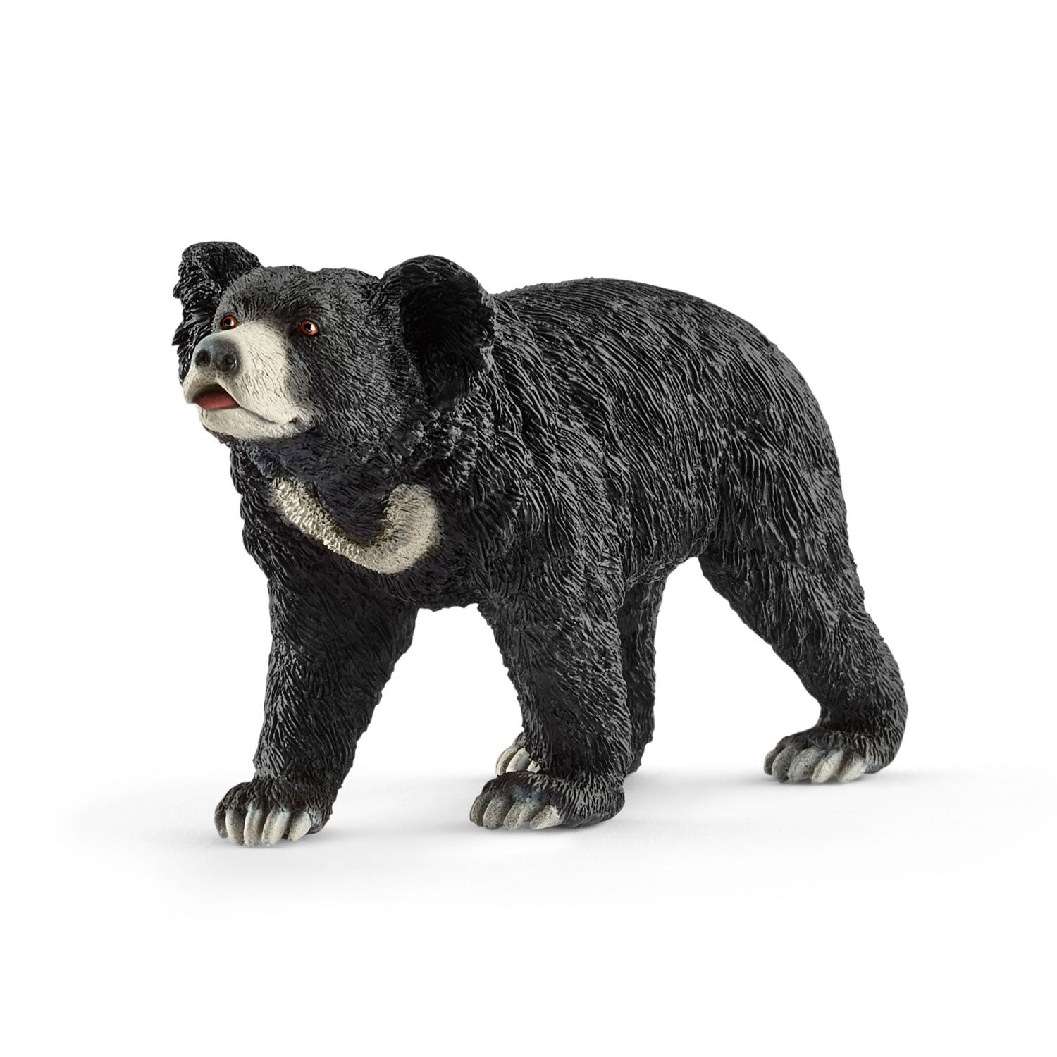 Schleich Bahloe, Lippenbeer