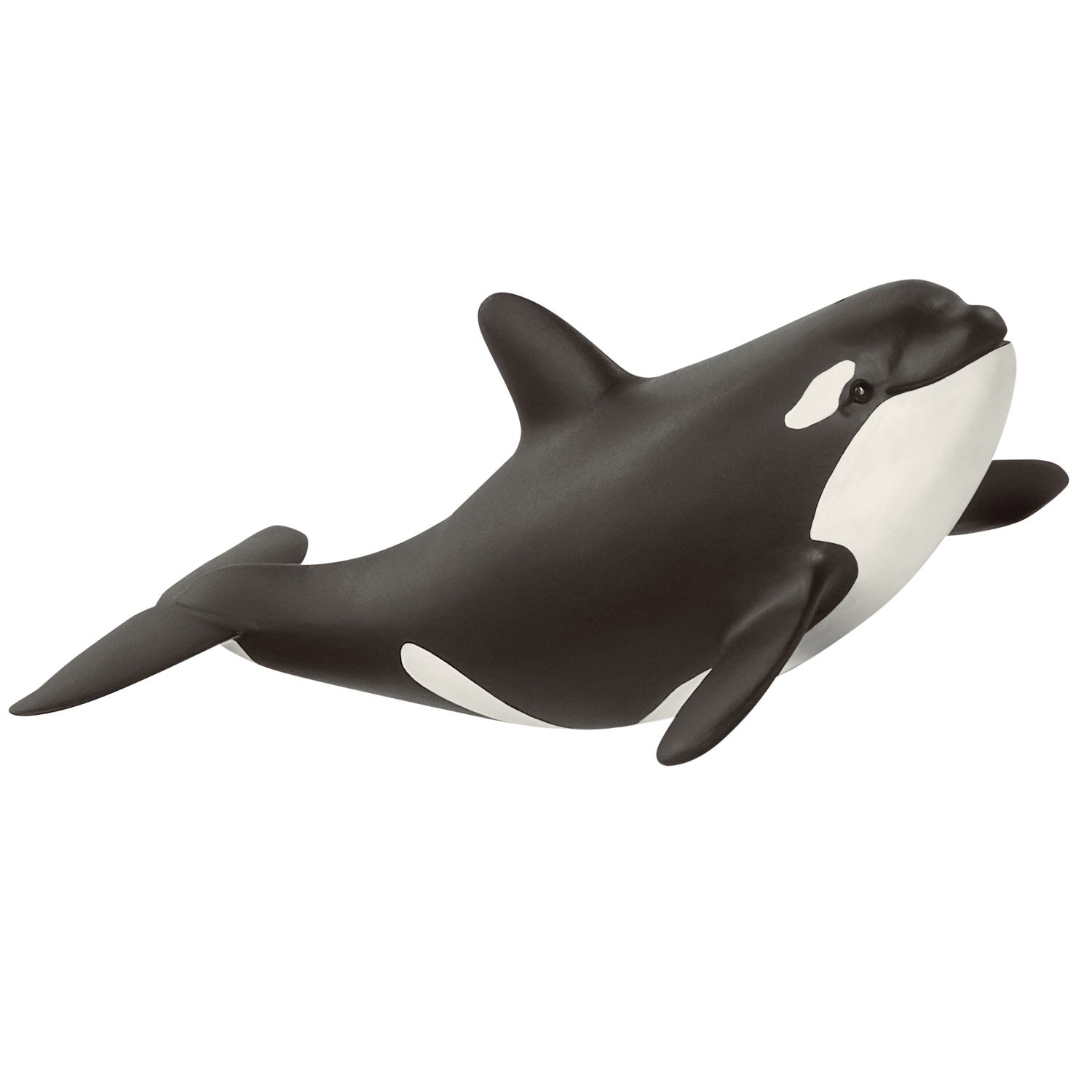 Schleich WILD LIFE Baby Orka 14836