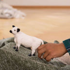 Schleich FARM WORLD Gallowaykoe 13960