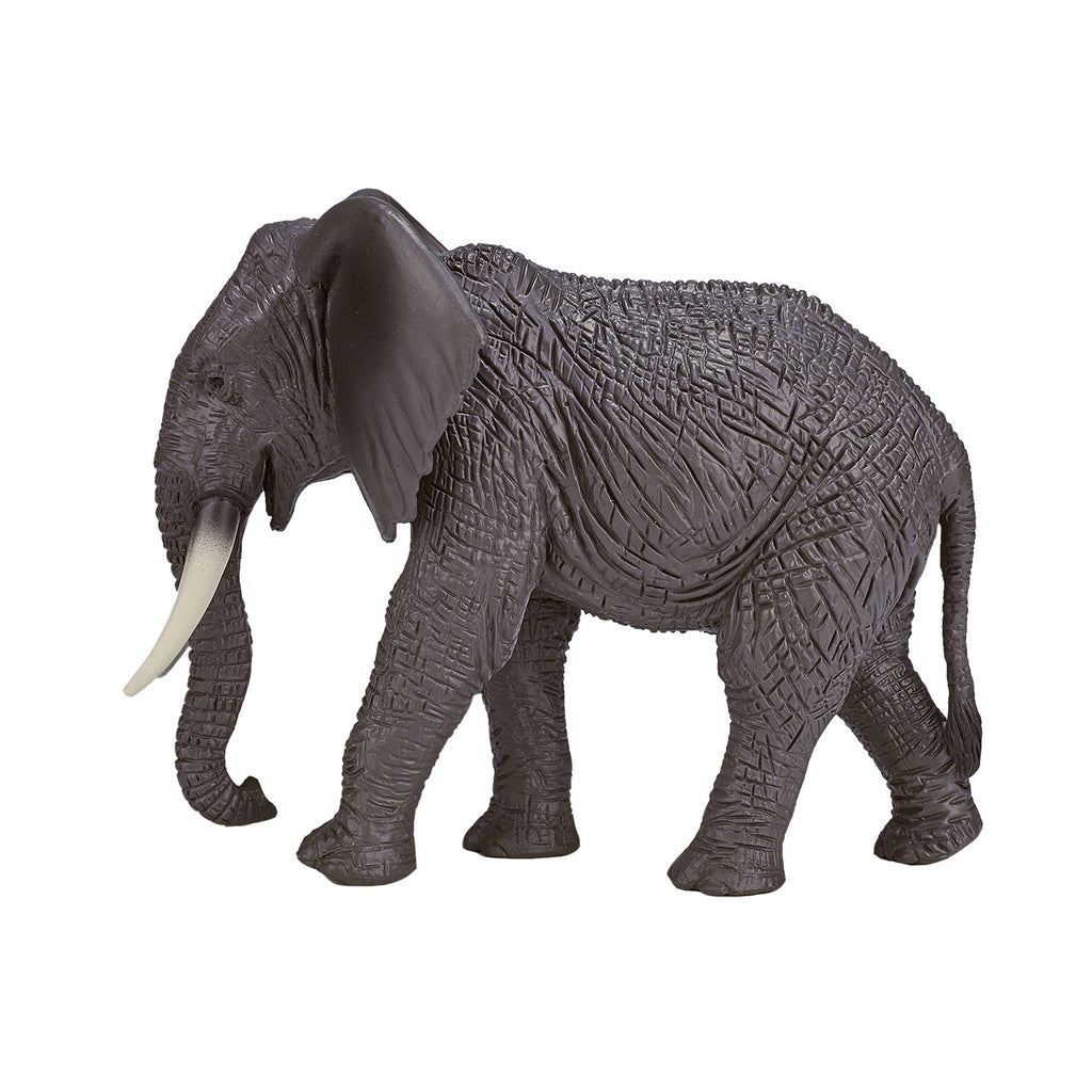 mojo wildlife afrikaanse olifant - 387189