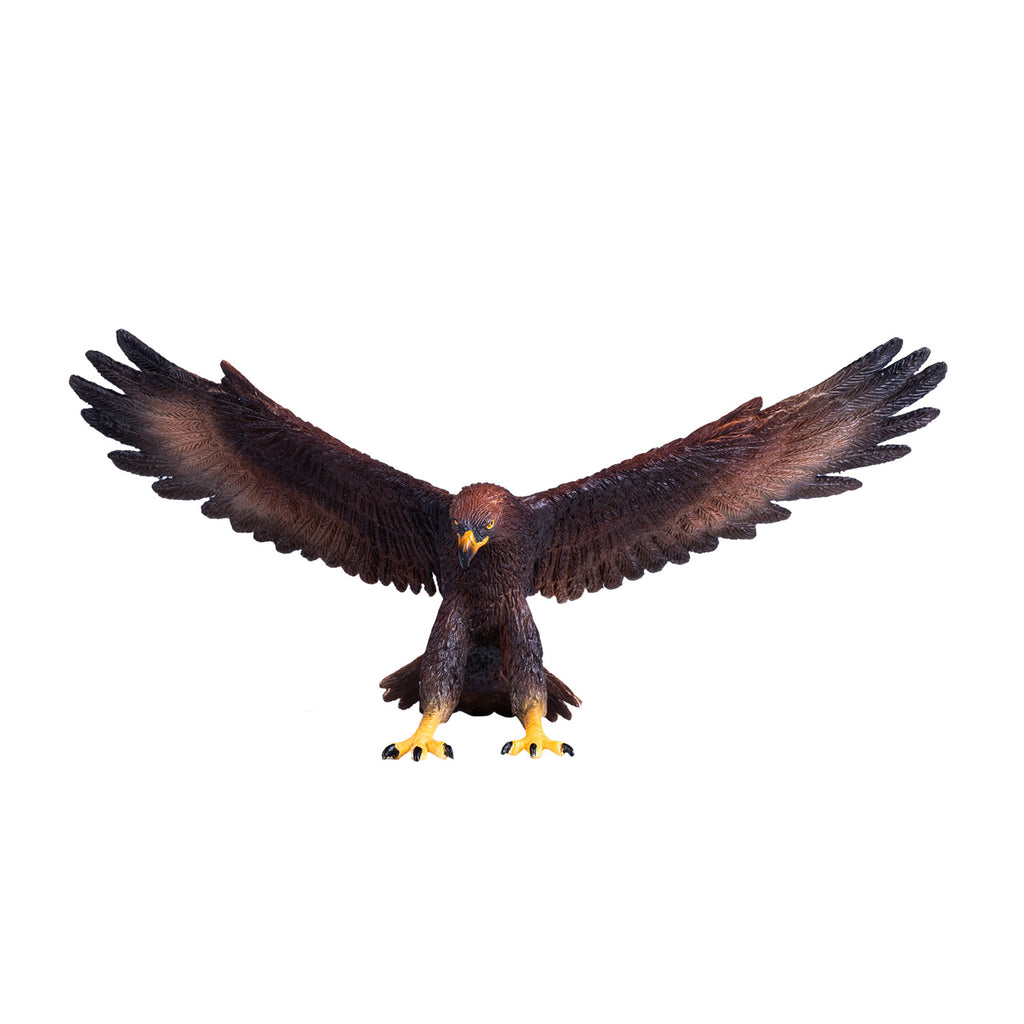 mojo wildlife steenarend - 381051