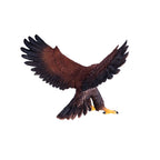mojo wildlife steenarend - 381051