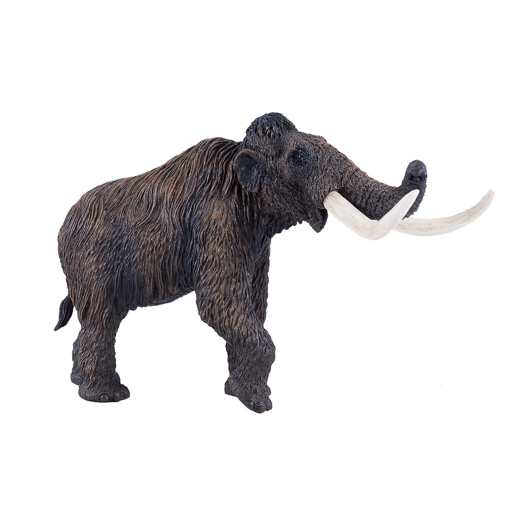mojo prehistorie wolharige mammoet - 381049