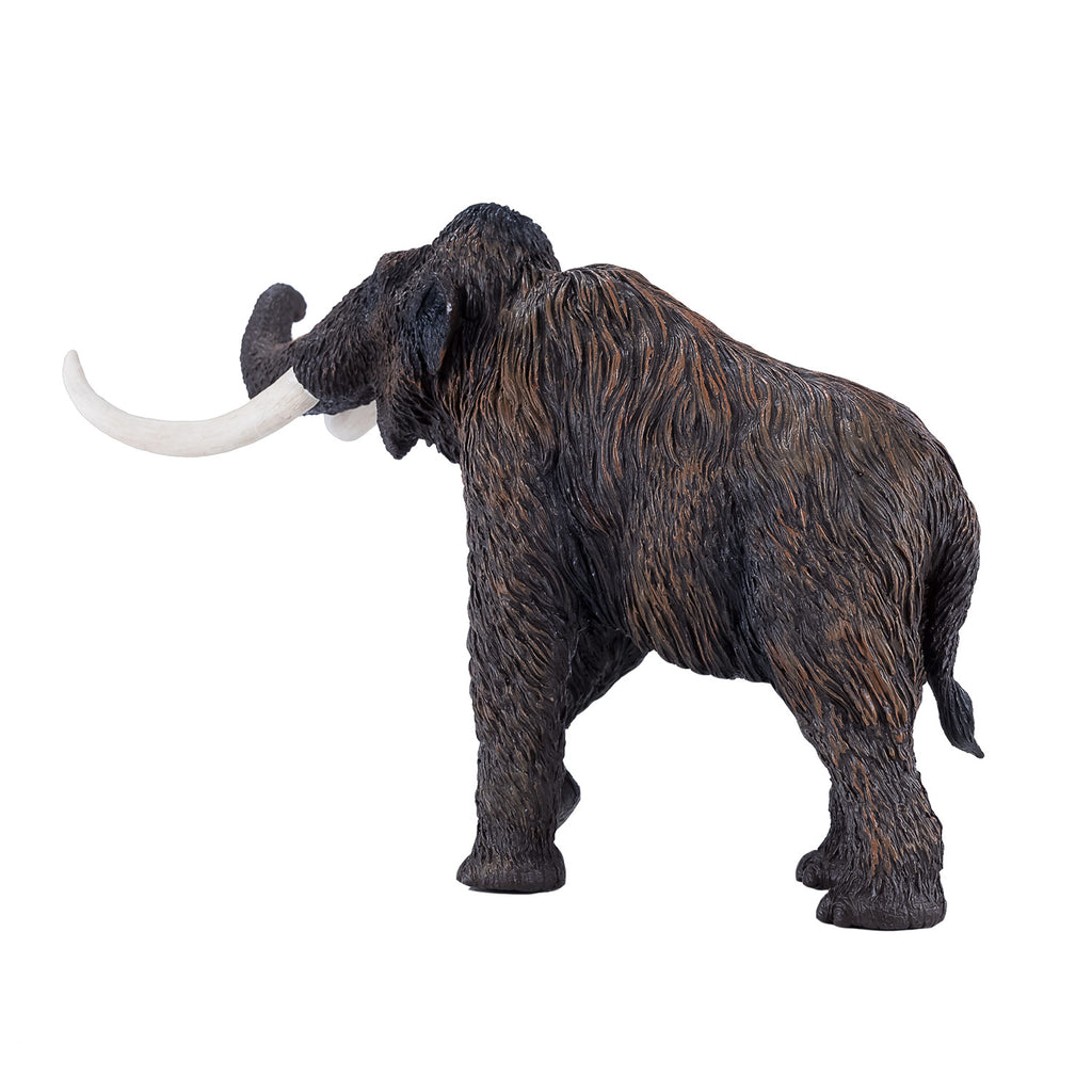 mojo prehistorie wolharige mammoet - 381049