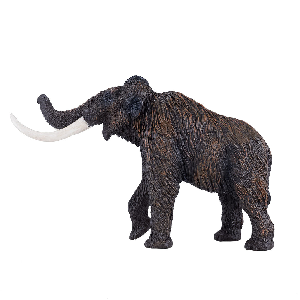 mojo prehistorie wolharige mammoet - 381049