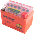 Edge Accu CTX-4L-BS Intelligent-Gel (11x7x8.5cm)