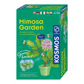 kosmos mimosa planten kweken