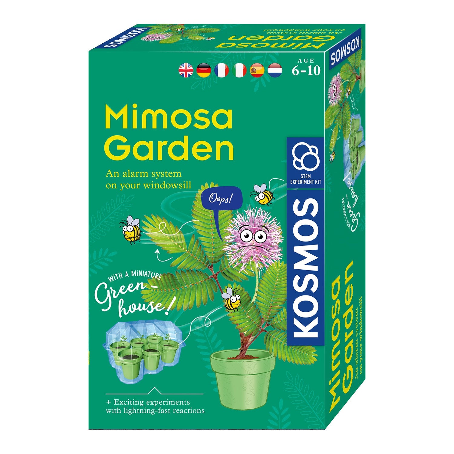 kosmos mimosa planten kweken