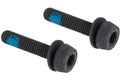 Campagnolo mounting bolts for disc brakes (pack of 2) | 29 mm