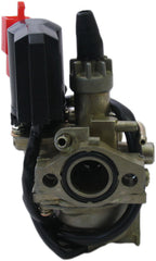 Edge Carburateur incl. E-choke Peugeot Kymco Origineel-Model ø12mm