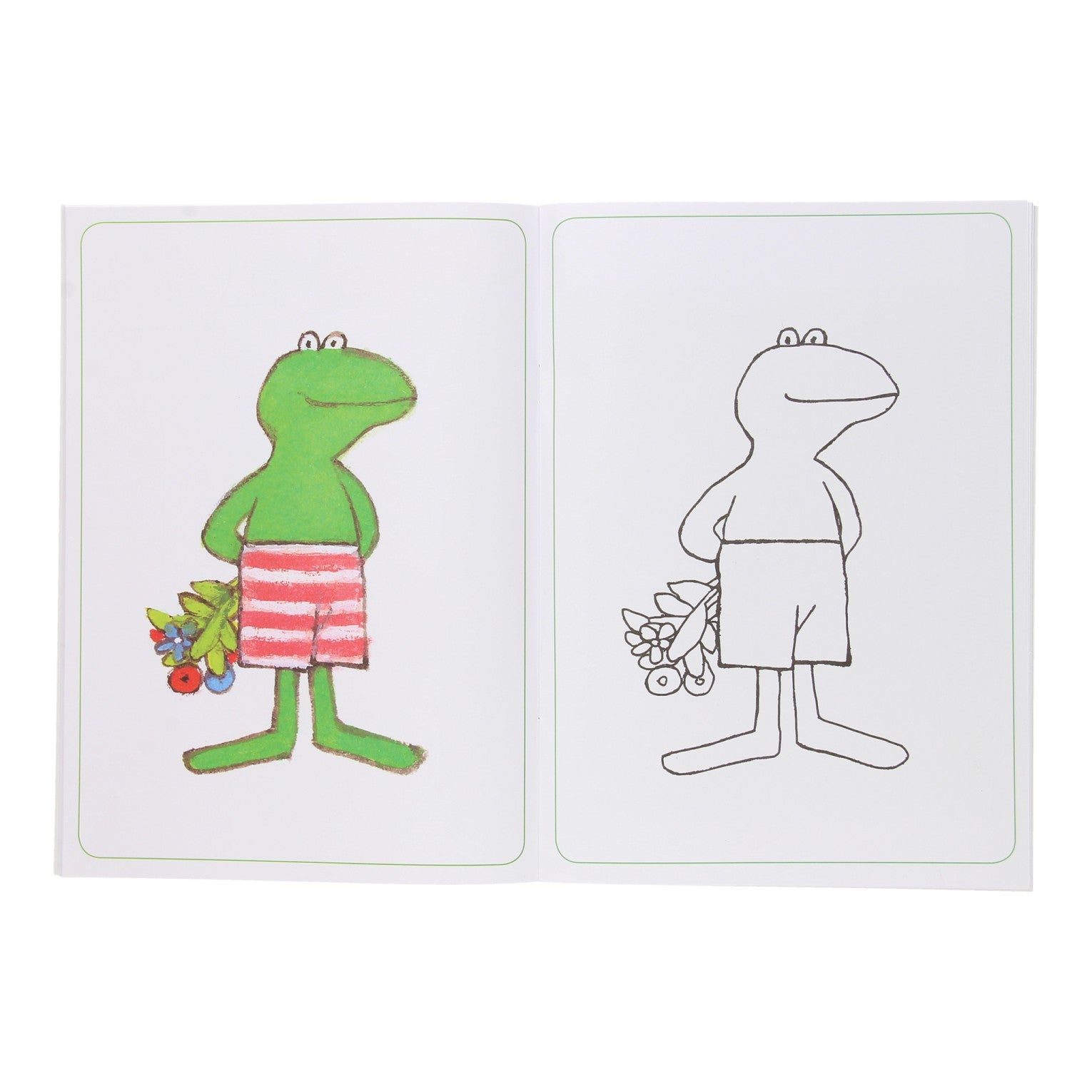 Boek Specials Nederland BV Kikker Multicolor Kleurboek