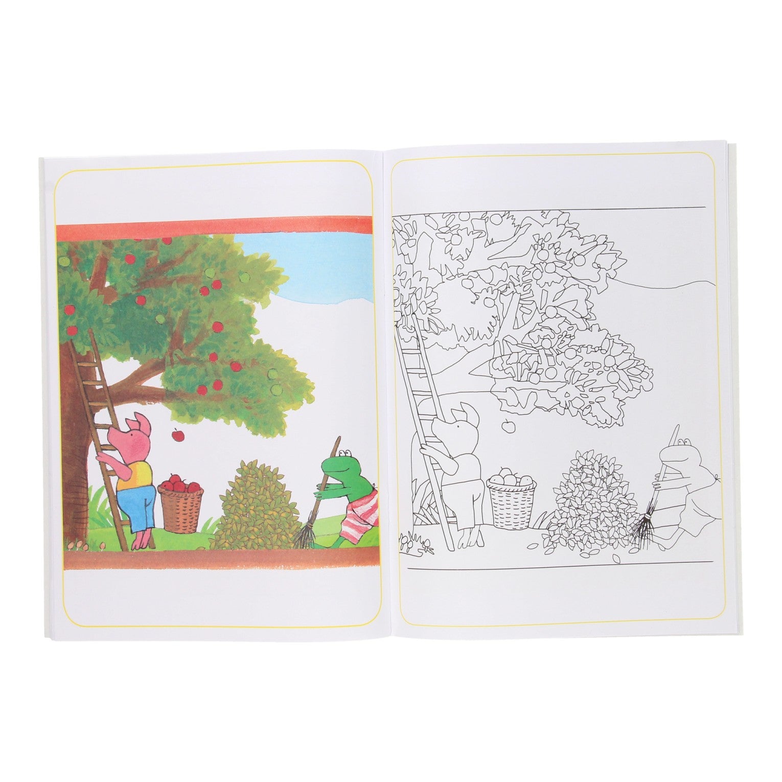 Boek Specials Nederland BV Kikker Multicolor Kleurboek