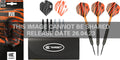 Target Raymond van Barneveld Brass