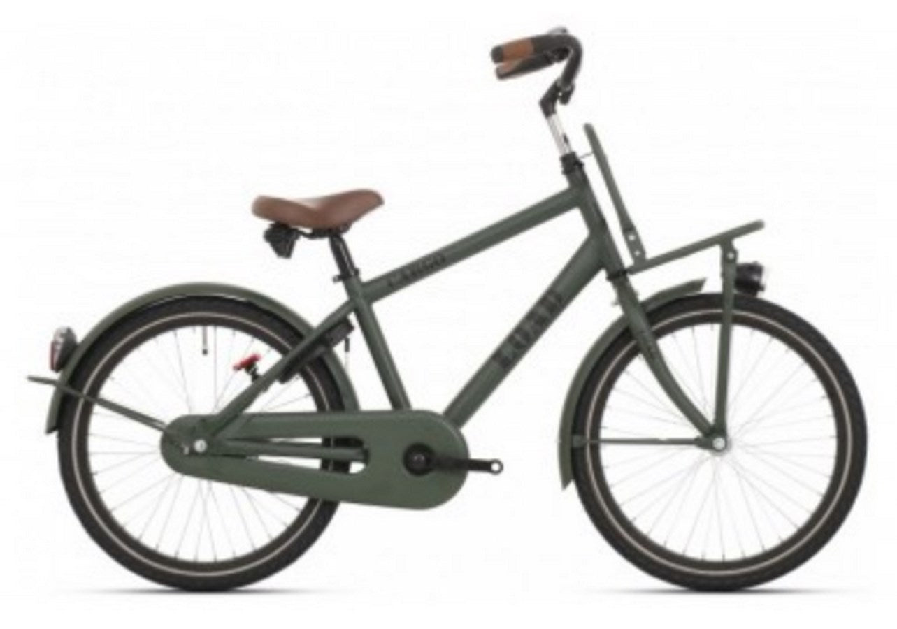 Bike fun kids fiets bikefun 26 3v load jongens