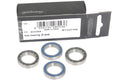 Campagnolo ball bearings for freehub bodies