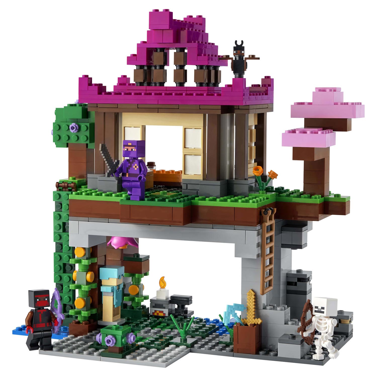 Lego LEGO Minecraft 21183 De Trainingsplaats