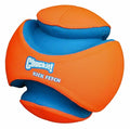 Chuckit kick fetch