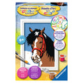 Ravensburger Schilderen op Nummer Paardenblik