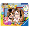 Ravensburger Schilderen op Nummer Katjes in een Mand
