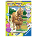 ravensburger schilderen op nummer paardenliefde
