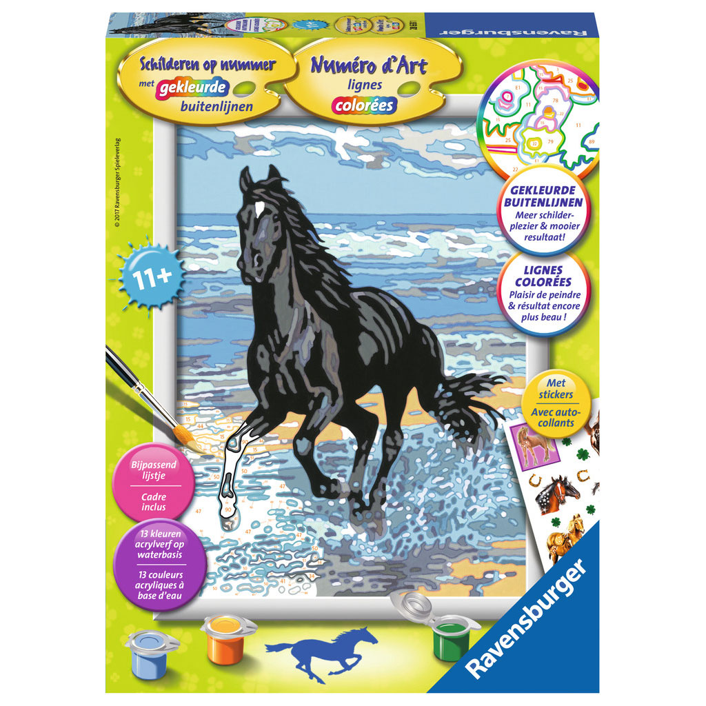 schilderen op nummer - paard in de branding