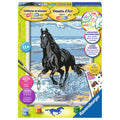 schilderen op nummer - paard in de branding