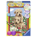 Schilderen op Nummer - Knuffelende Puppies