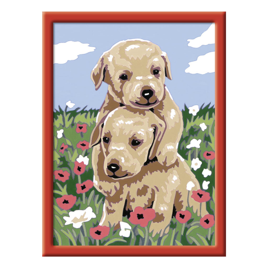 Schilderen op Nummer - Knuffelende Puppies